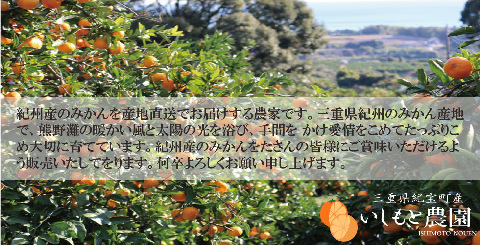 紀州産のみかんを産地直送でお届けする農家です。三重県紀州のみかん産地で、熊野灘の暖かい風と太陽の光を浴び、手間を かけ愛情をこめてたっぷりこめ大切に育てています。紀州産のみかんをたさんの皆様にご賞味いただけるよう販売いたしております。何卒よろしくお願い申し上げます。